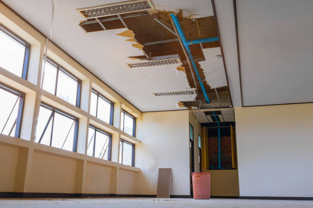 Reliable Kahaluu Keauhou, HI Water damage restoration Solutions
