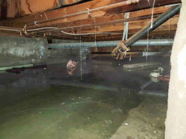 Best 24-hour water damage restoration  in Kahaluu Keauhou, HI