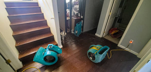 Best Mold removal after water damage  in Kahaluu Keauhou, HI