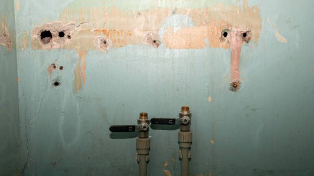 Best Sewage cleanup and water damage restoration  in Kahaluu Keauhou, HI