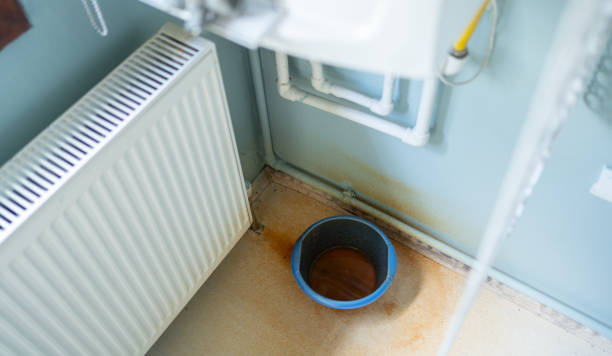 Best Water damage mitigation services  in Kahaluu Keauhou, HI